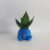 Oddish Temalı Skulent Saksısı 8 cm